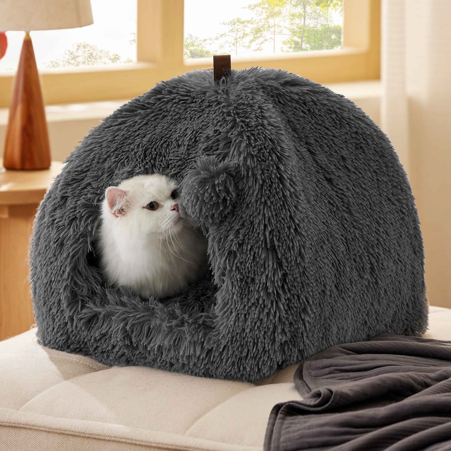 Cat Tent