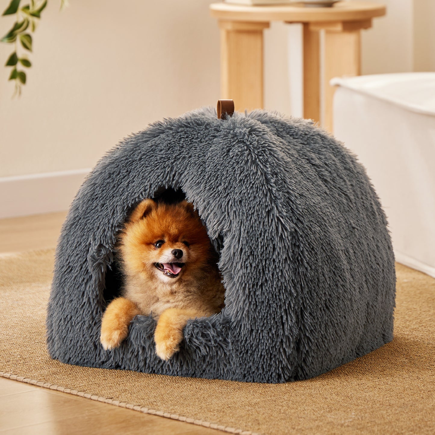 Cat Tent