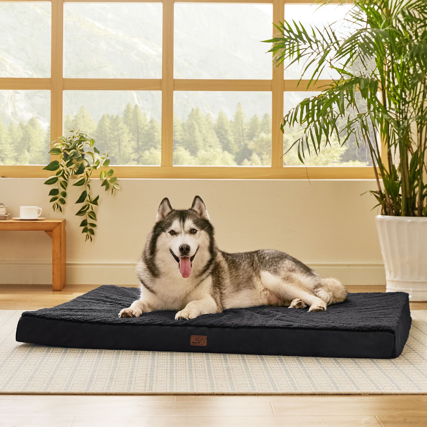Egg Crate Foam Dog Bed