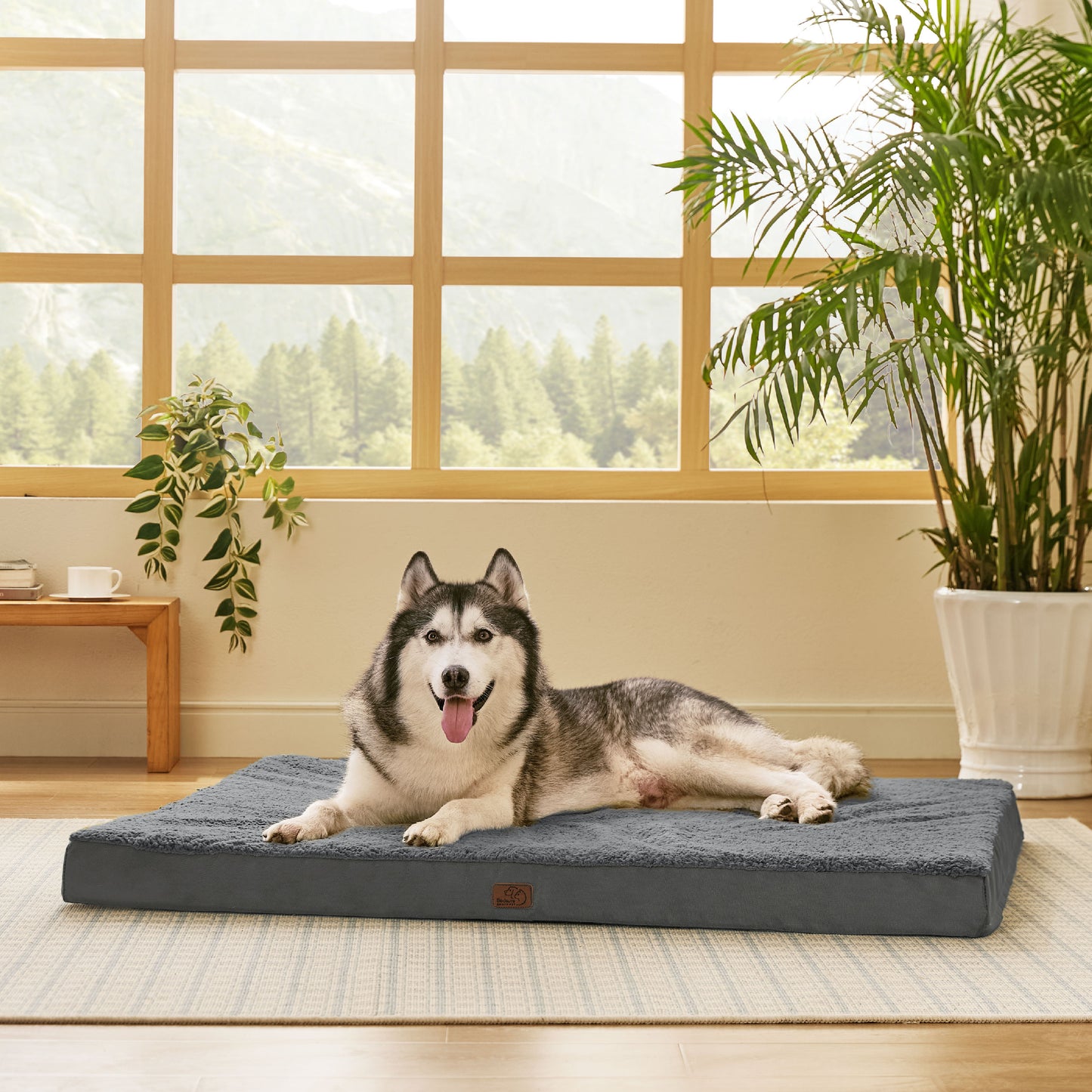 Egg Crate Foam Dog Bed