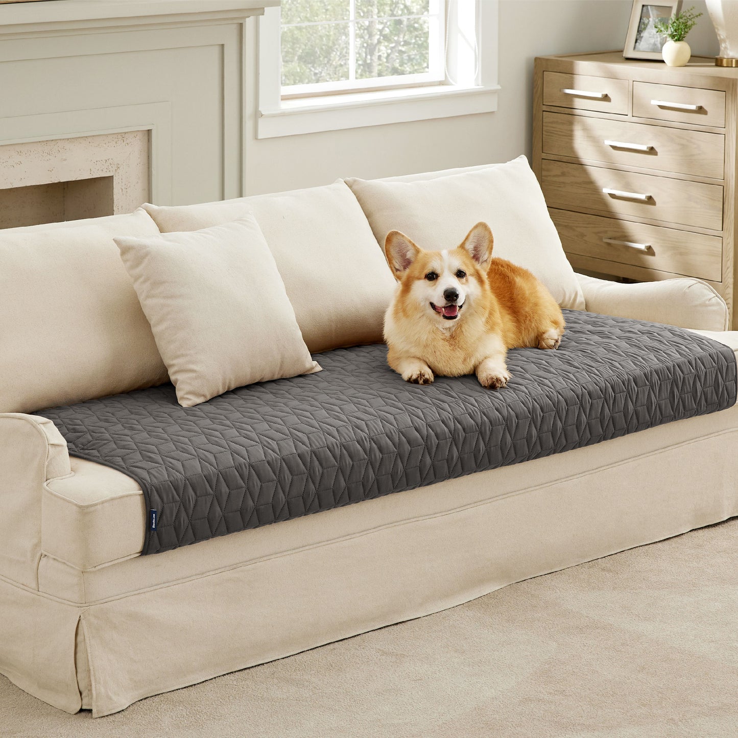 Pet Sofa Protector