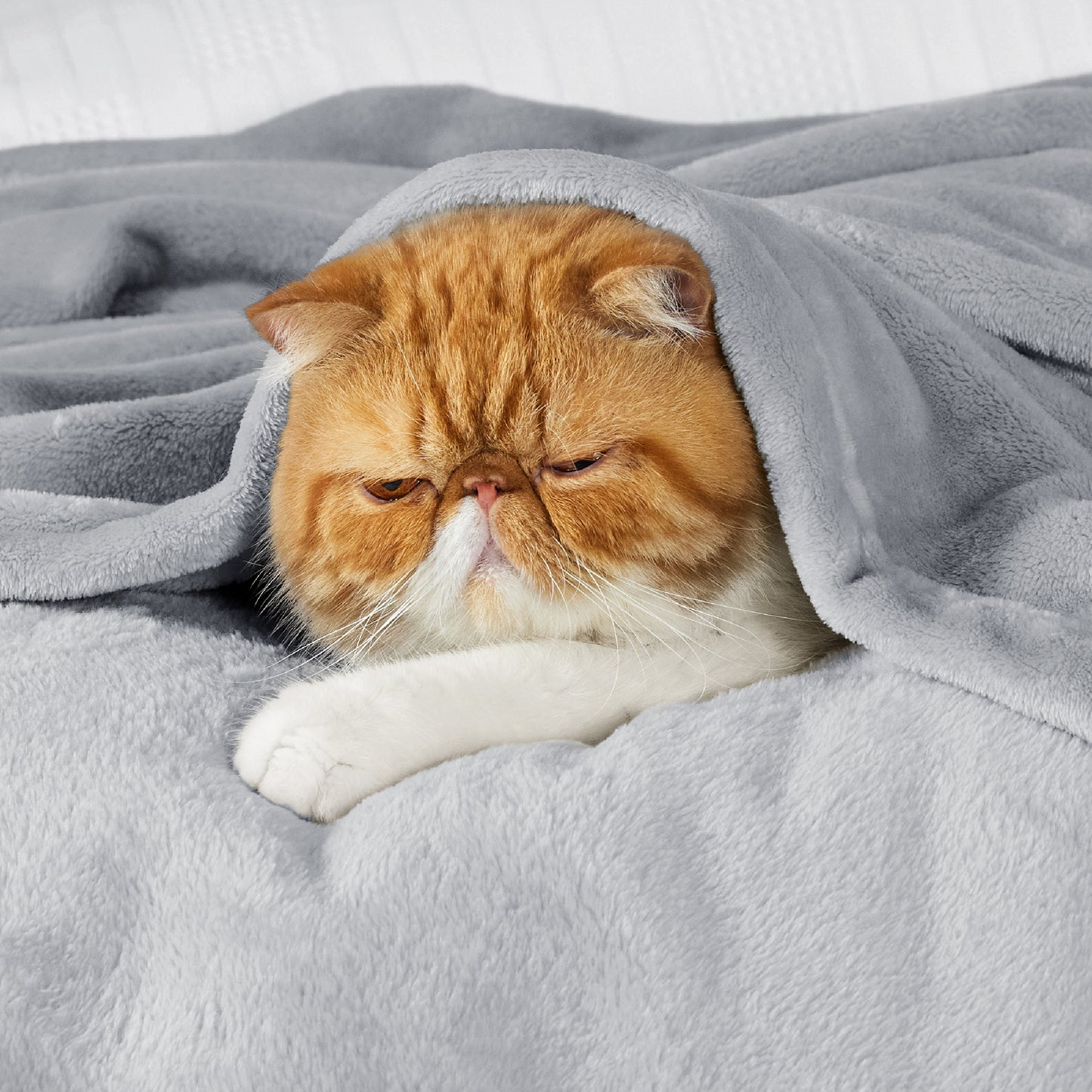 Classic Flannel Fleece Blanket