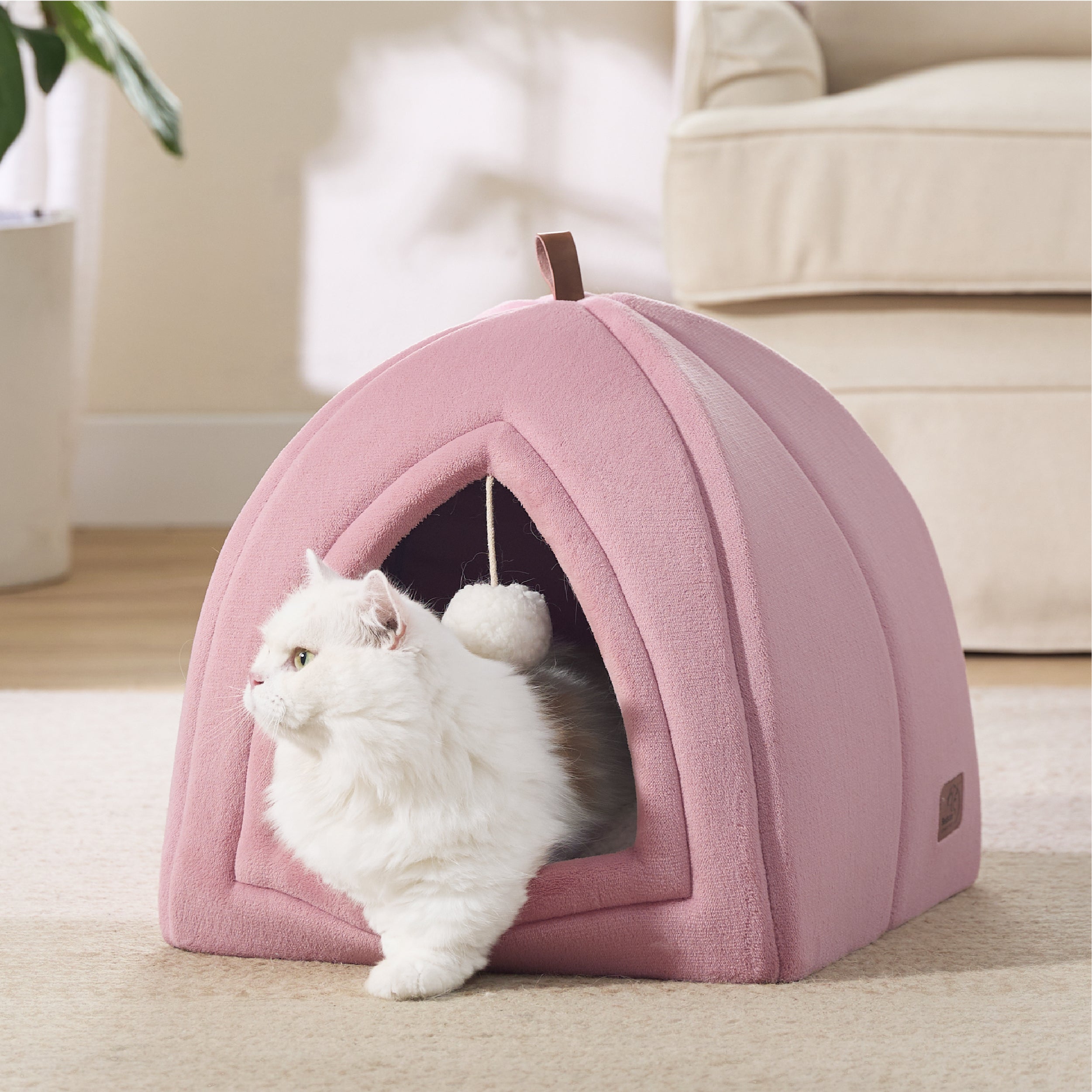 Cat Tent
