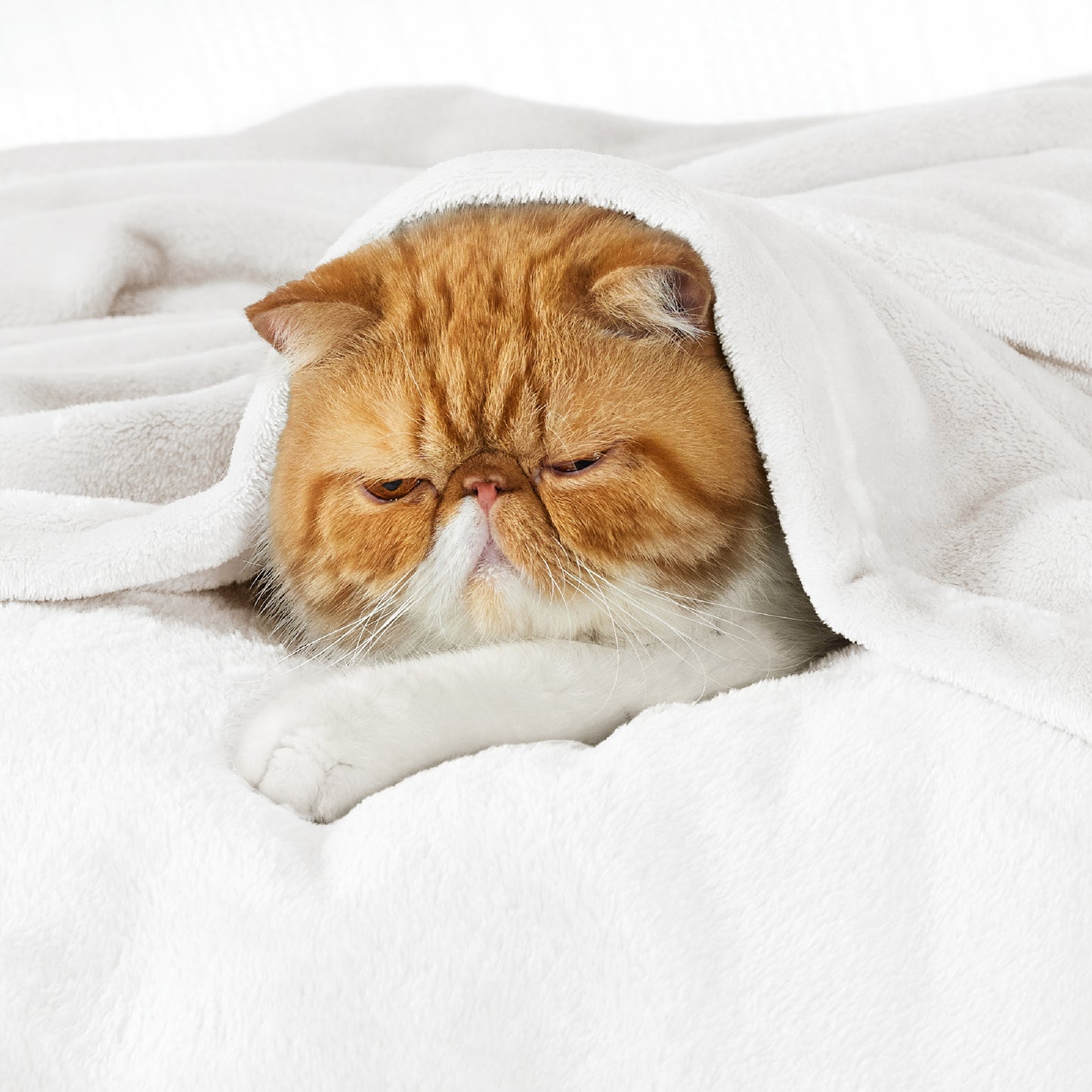 Classic Flannel Fleece Blanket