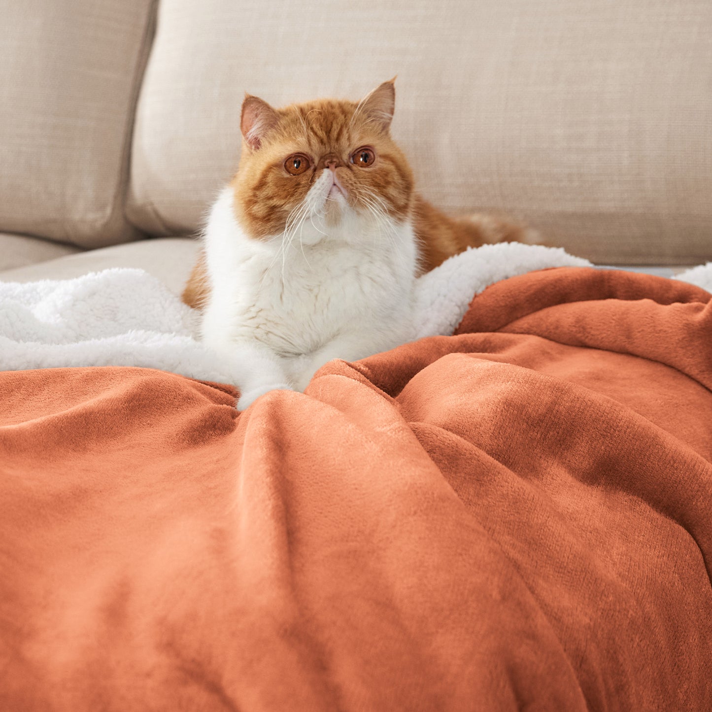 Sherpa Fleece Blanket