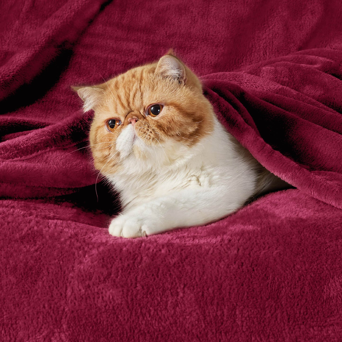 Classic Flannel Fleece Blanket
