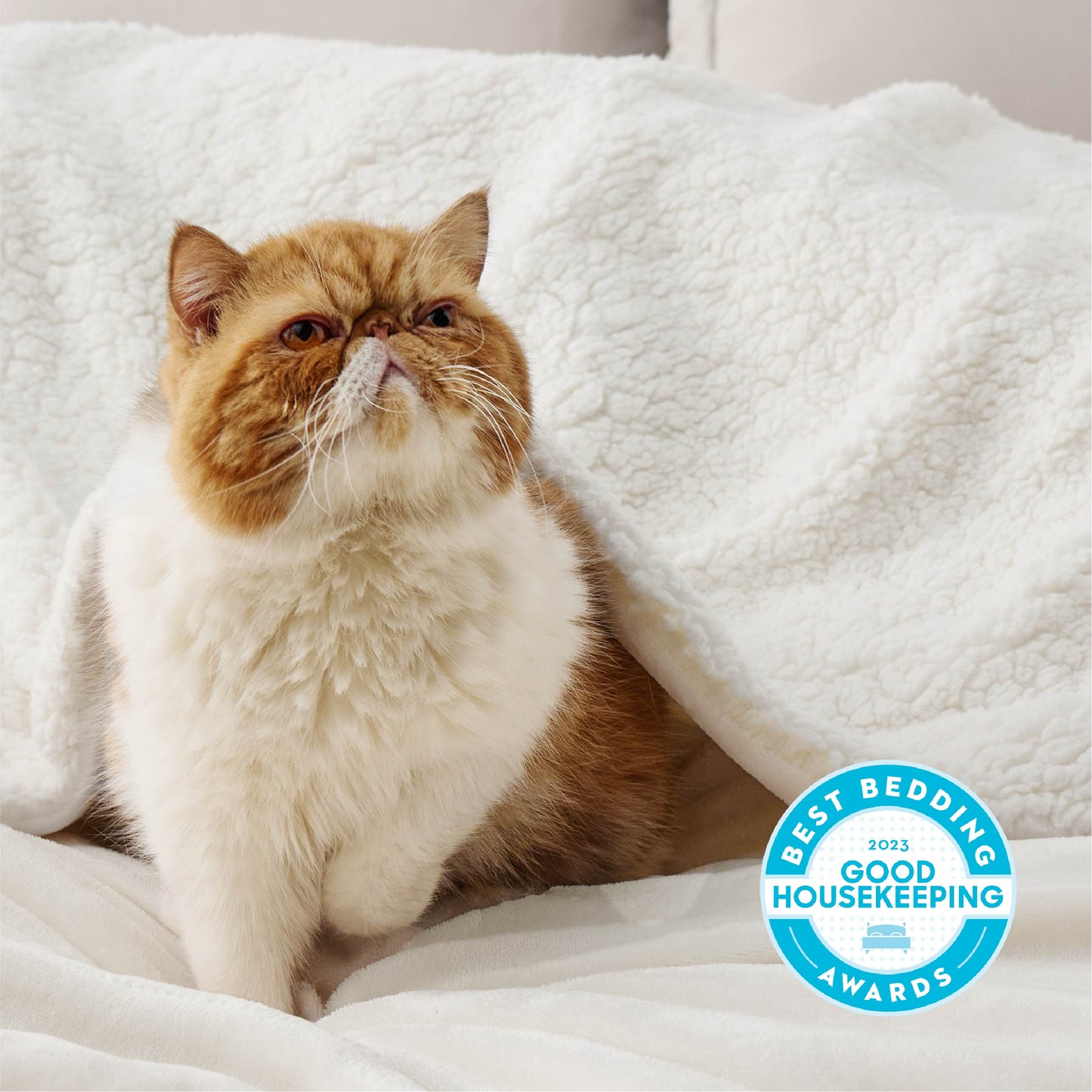 Sherpa Fleece Blanket