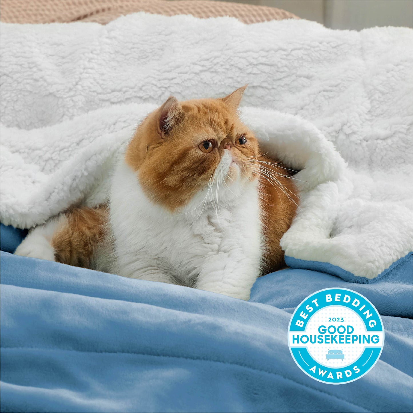 Sherpa Fleece Blanket