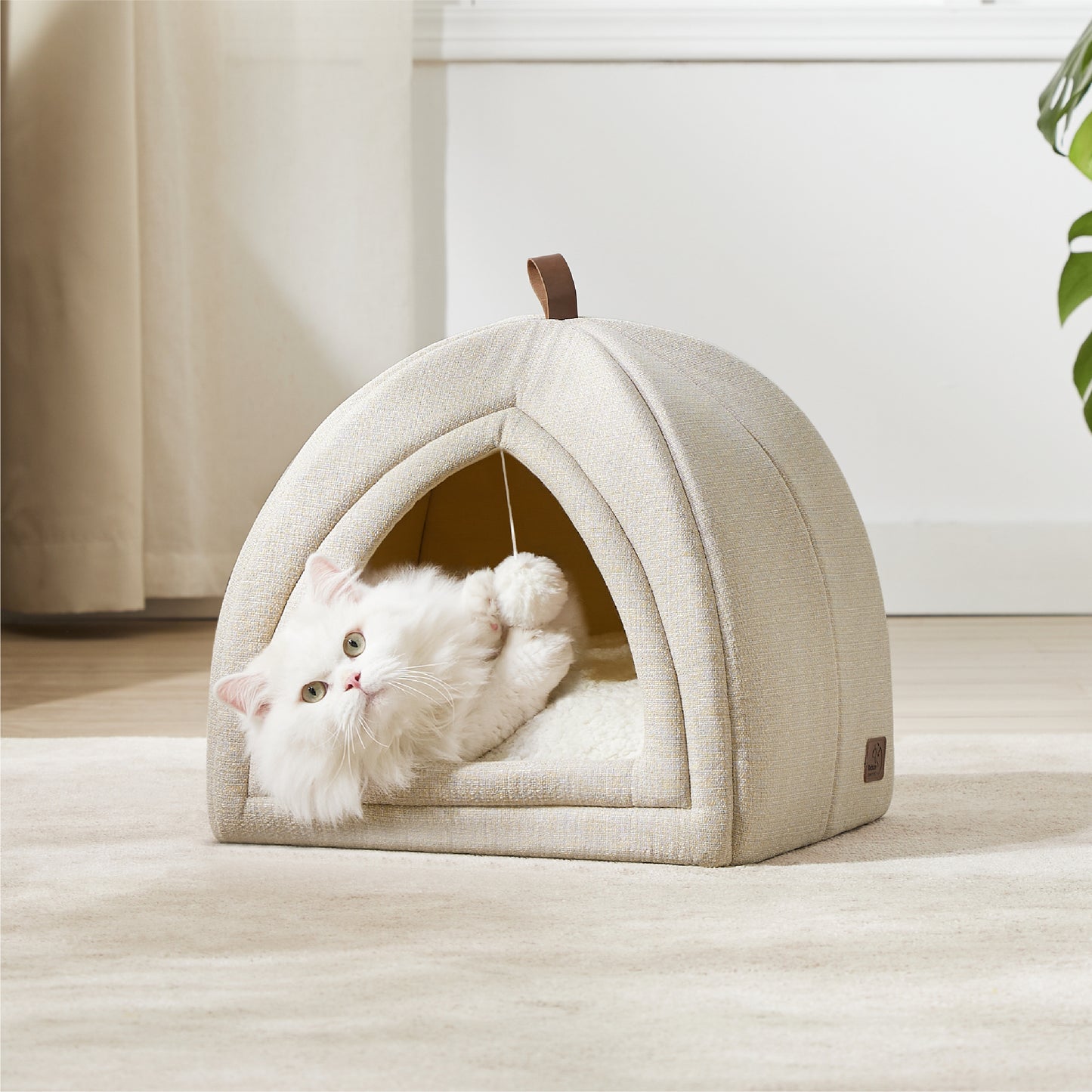 Cat Tent