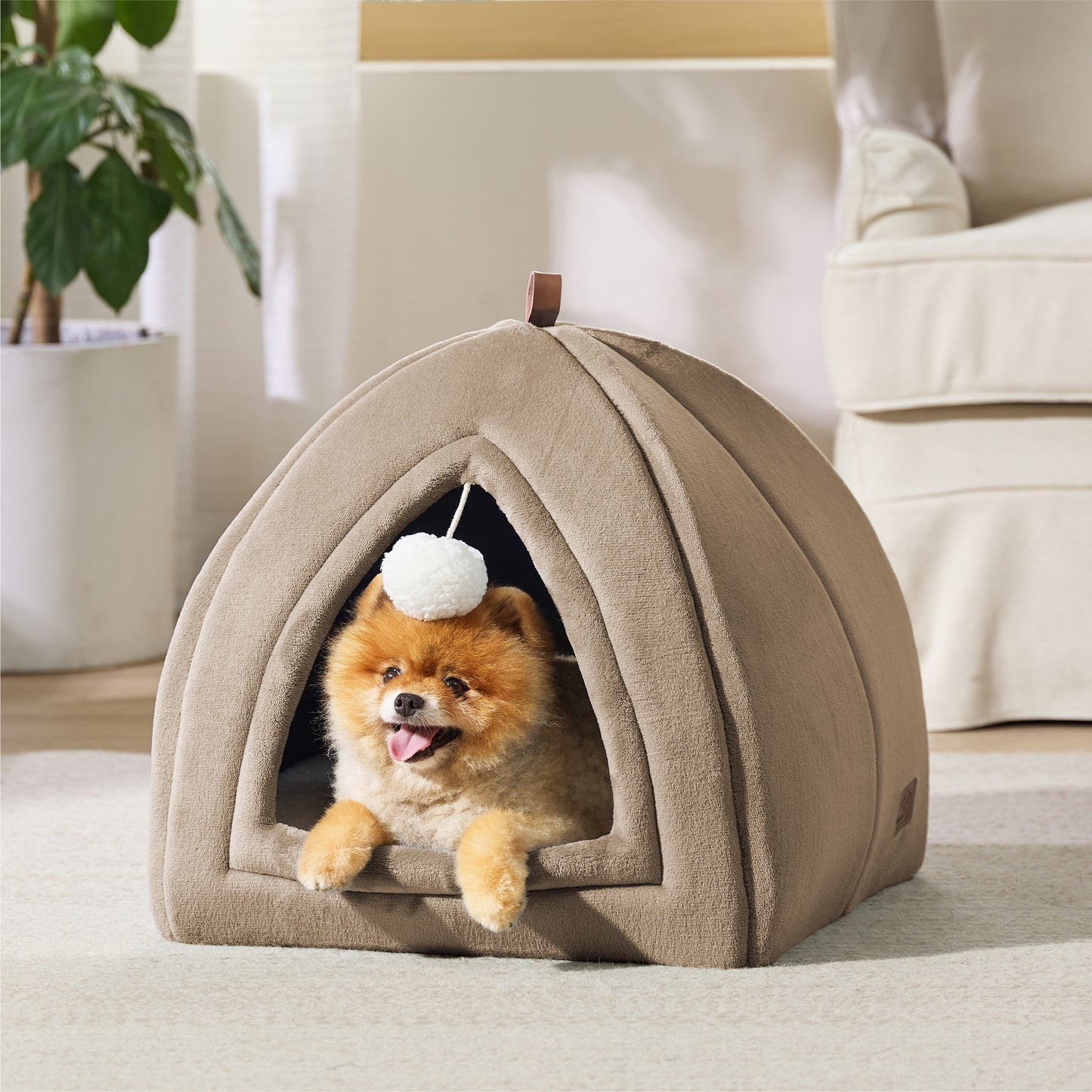 Cat Tent