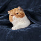 Classic Flannel Fleece Blanket
