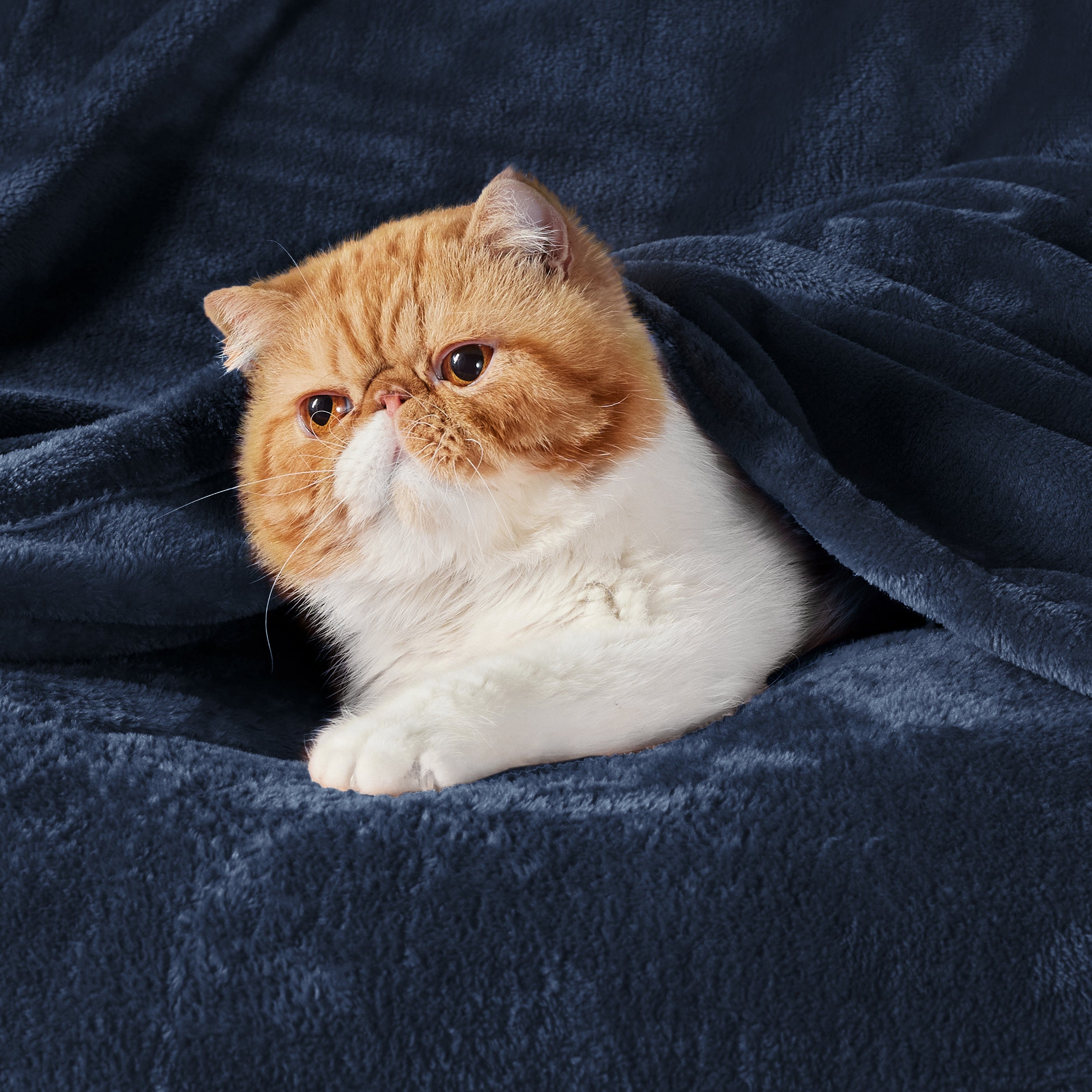 Classic Flannel Fleece Blanket