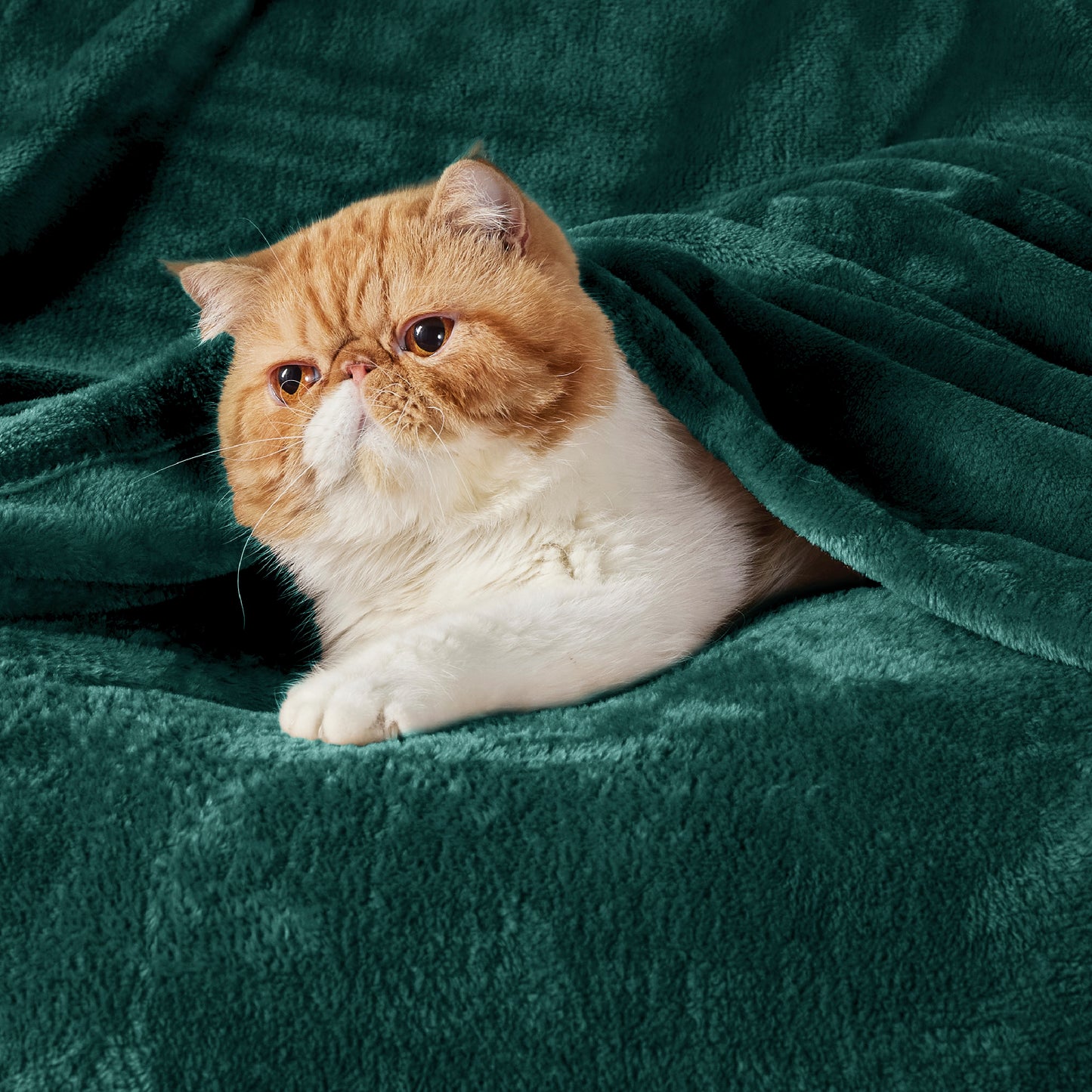 Classic Flannel Fleece Blanket