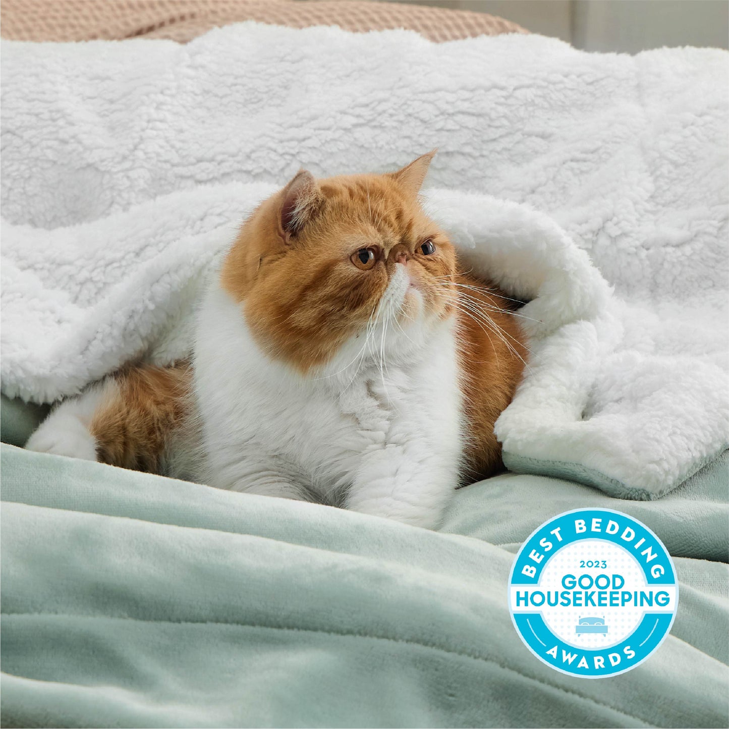 Sherpa Fleece Blanket