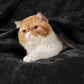 Classic Flannel Fleece Blanket