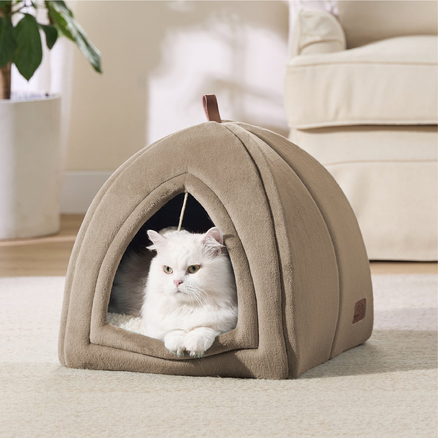 Cat Tent