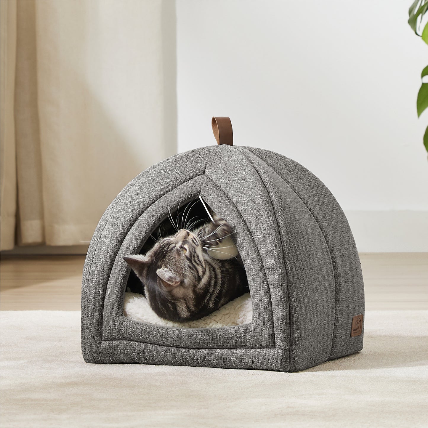 Cat Tent