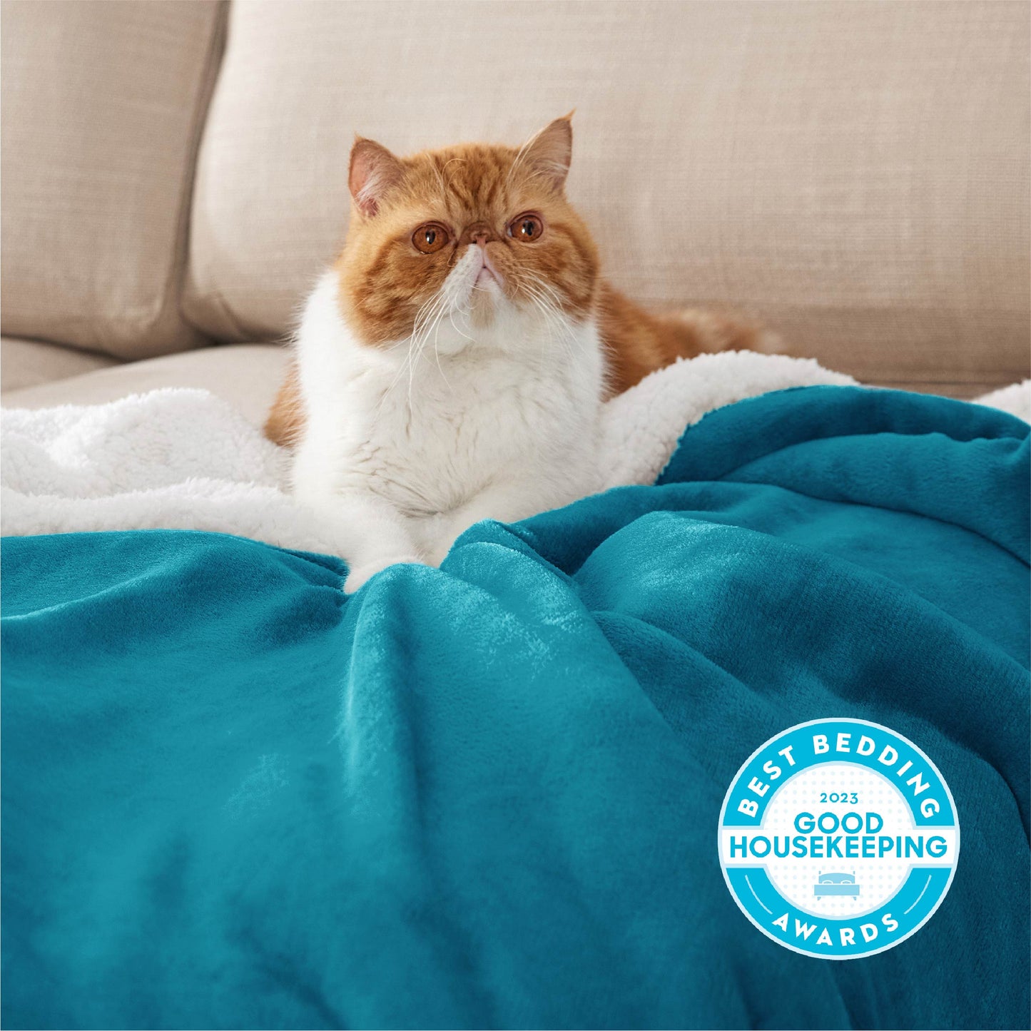 Sherpa Fleece Blanket
