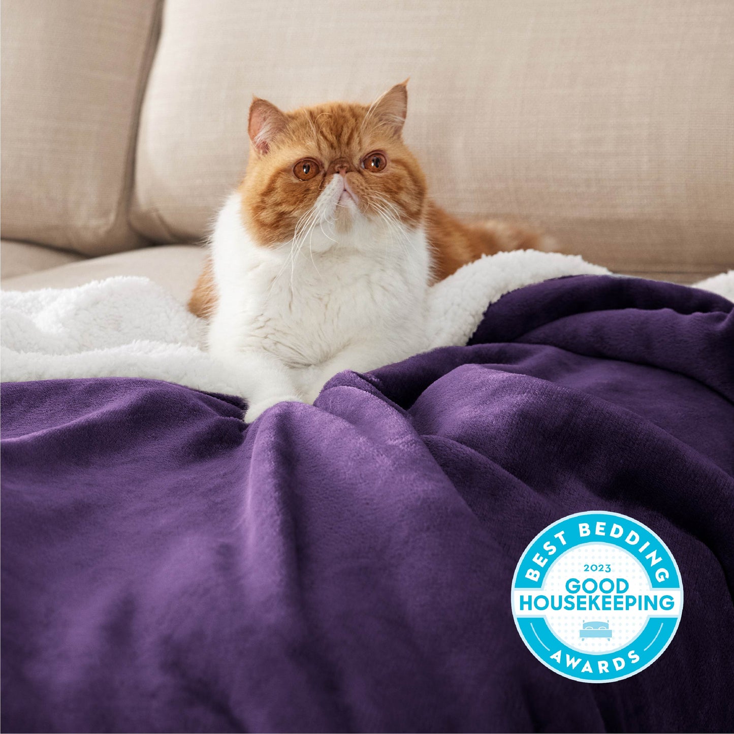 Sherpa Fleece Blanket