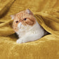 Classic Flannel Fleece Blanket
