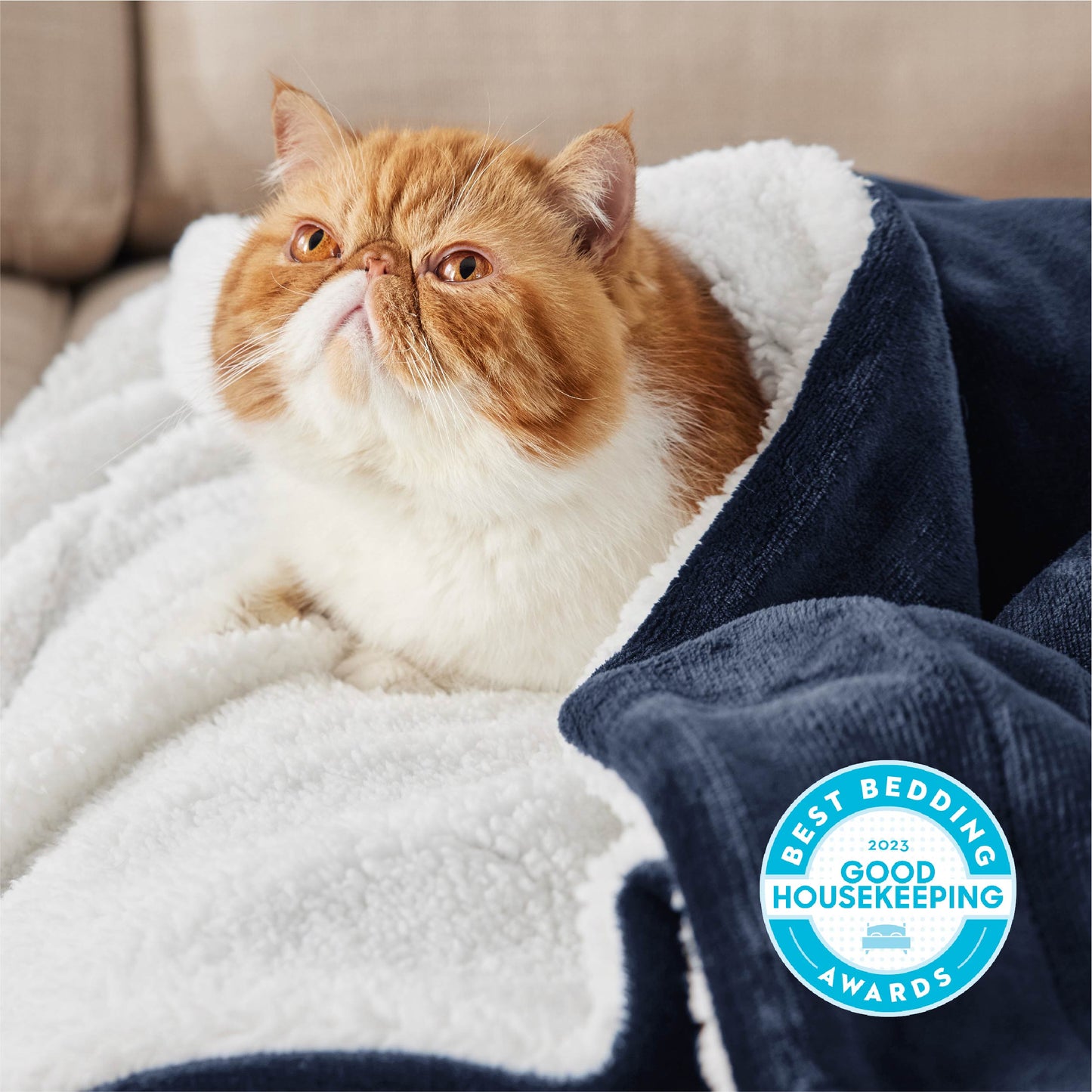 Sherpa Fleece Blanket