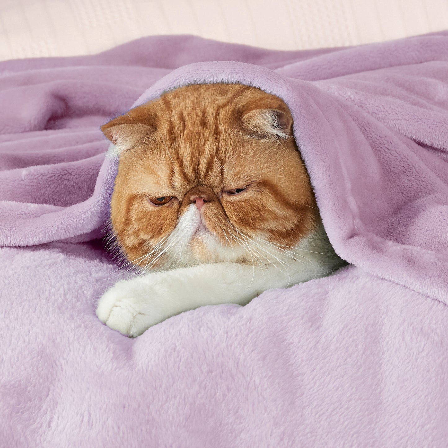 Classic Flannel Fleece Blanket