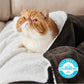 Sherpa Fleece Blanket