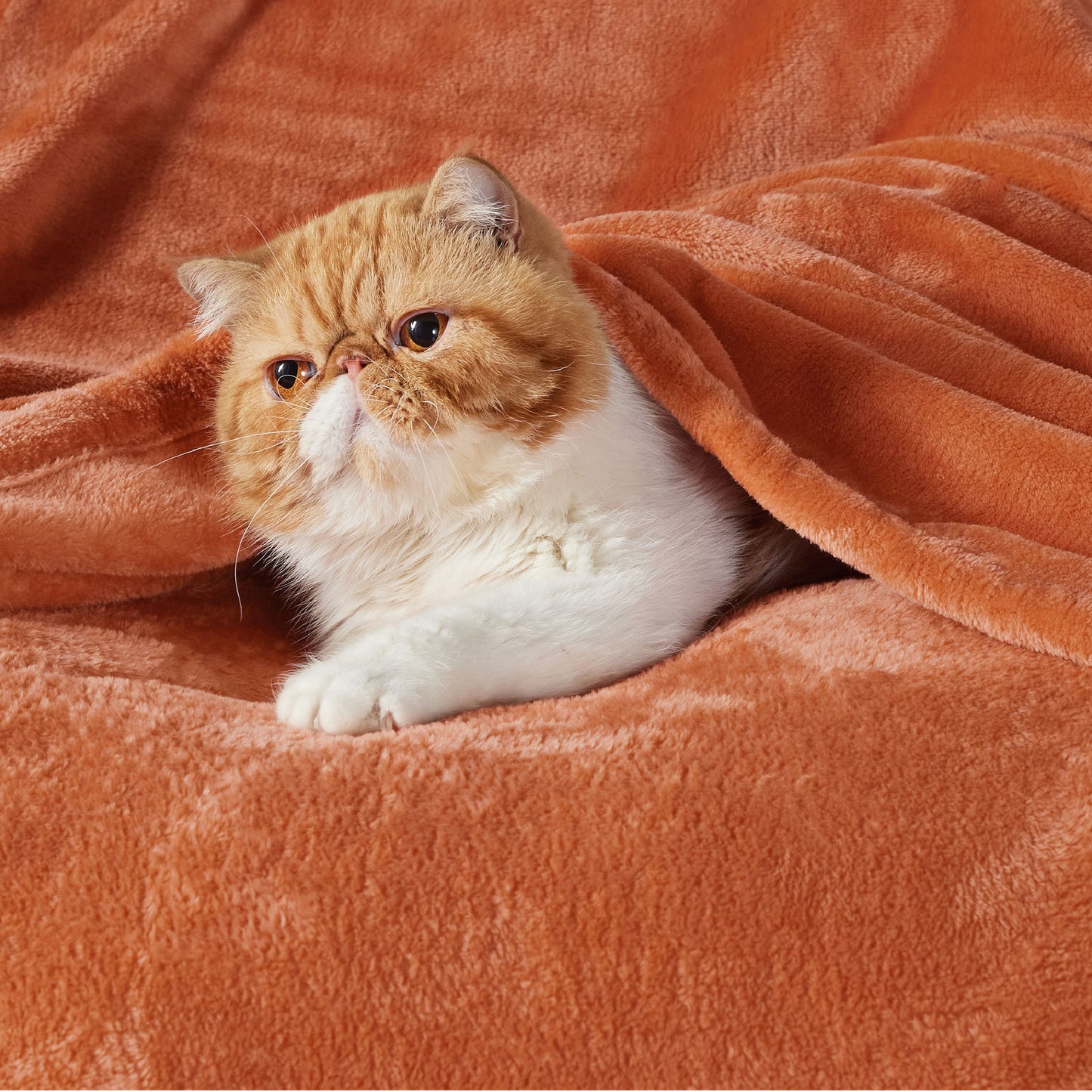 Classic Flannel Fleece Blanket