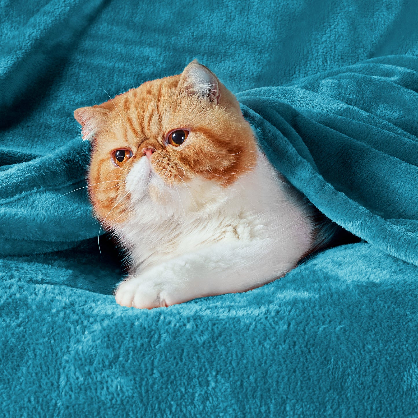 Classic Flannel Fleece Blanket