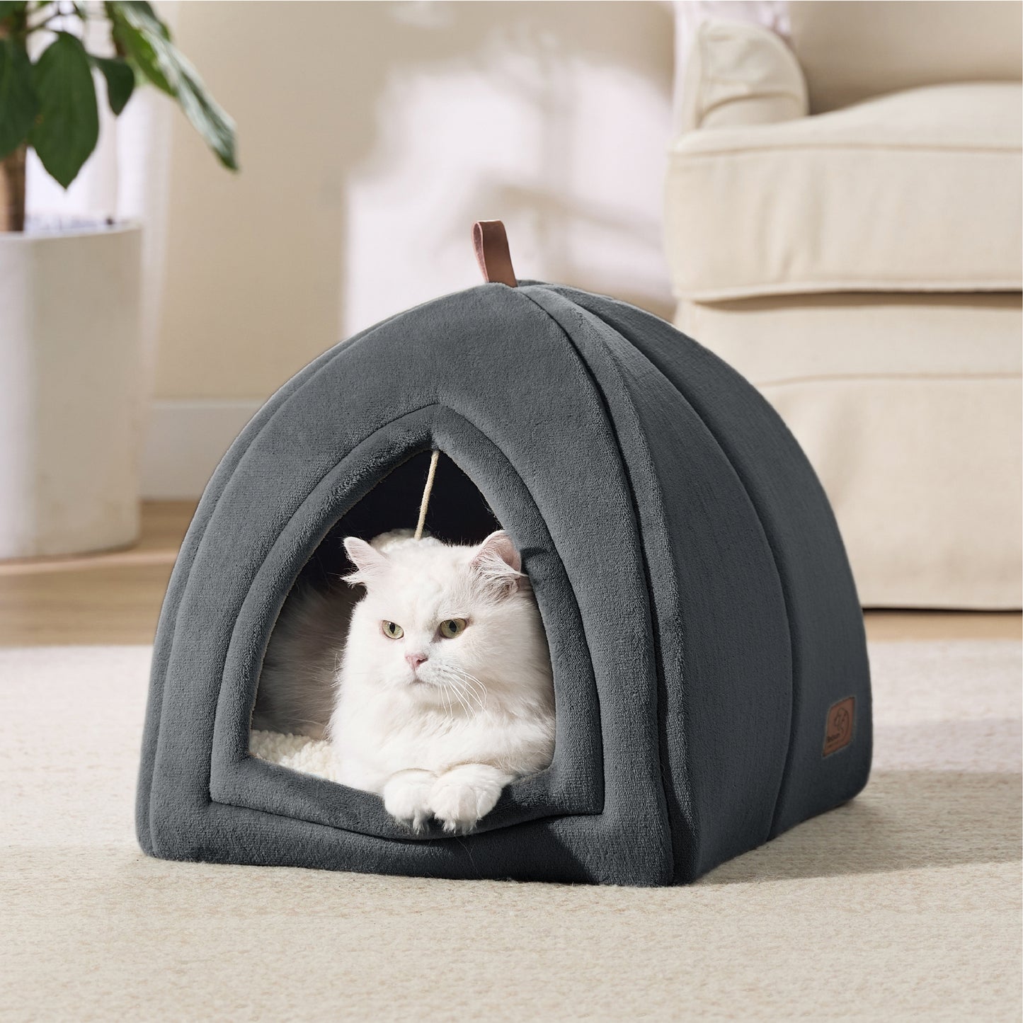 Cat Tent