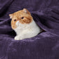 Classic Flannel Fleece Blanket