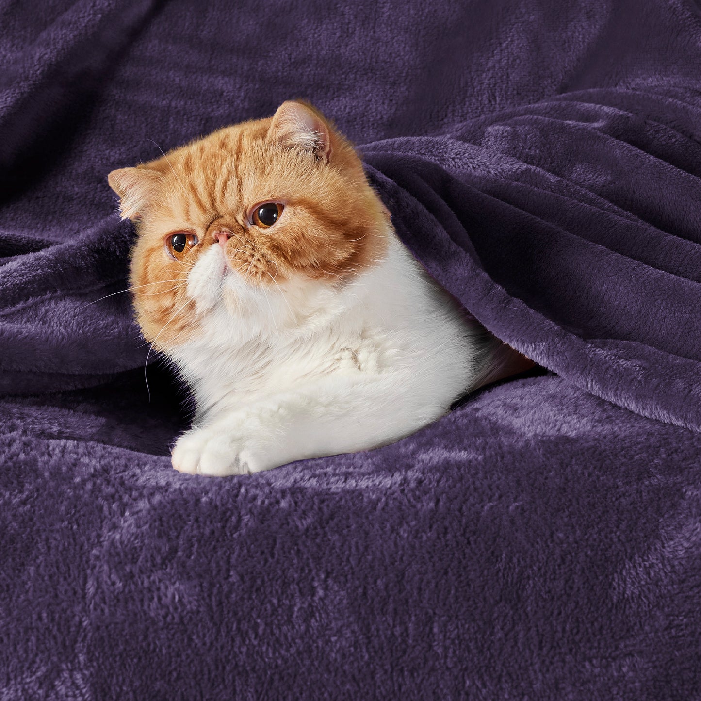 Classic Flannel Fleece Blanket