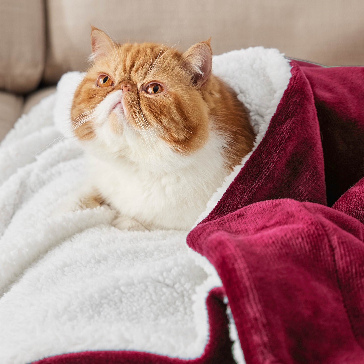 Sherpa Fleece Blanket