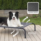 Elevated Dog Bed