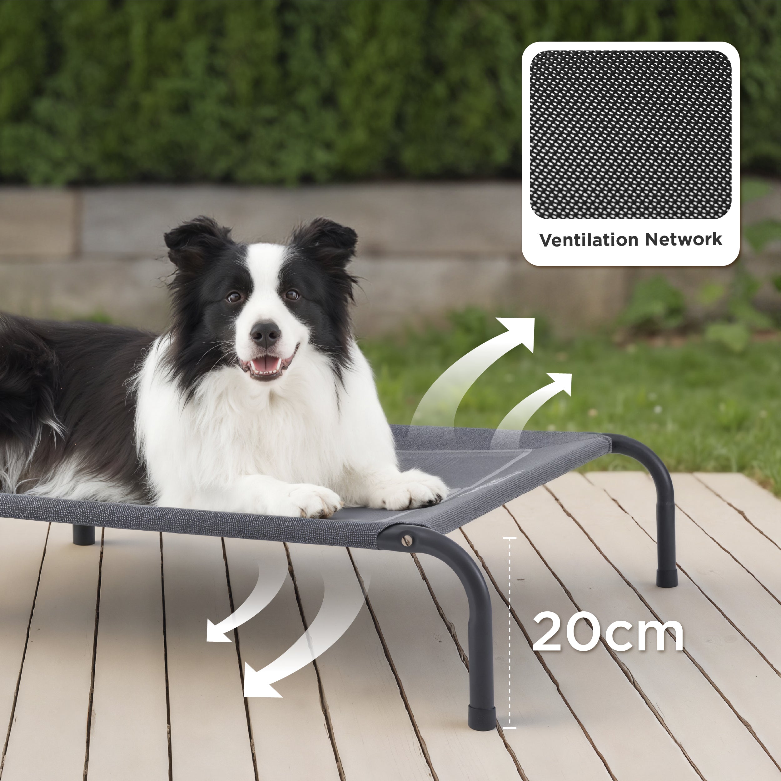 Elevated Dog Bed