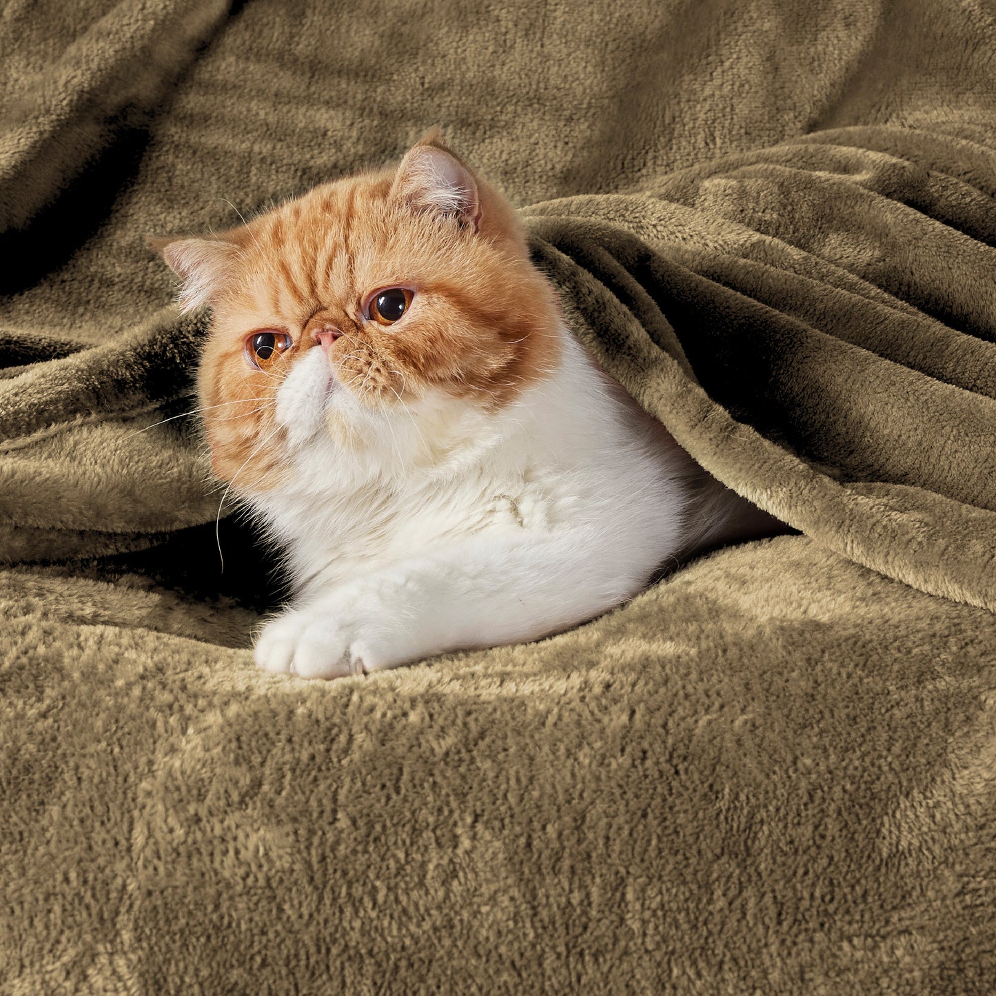 Classic Flannel Fleece Blanket