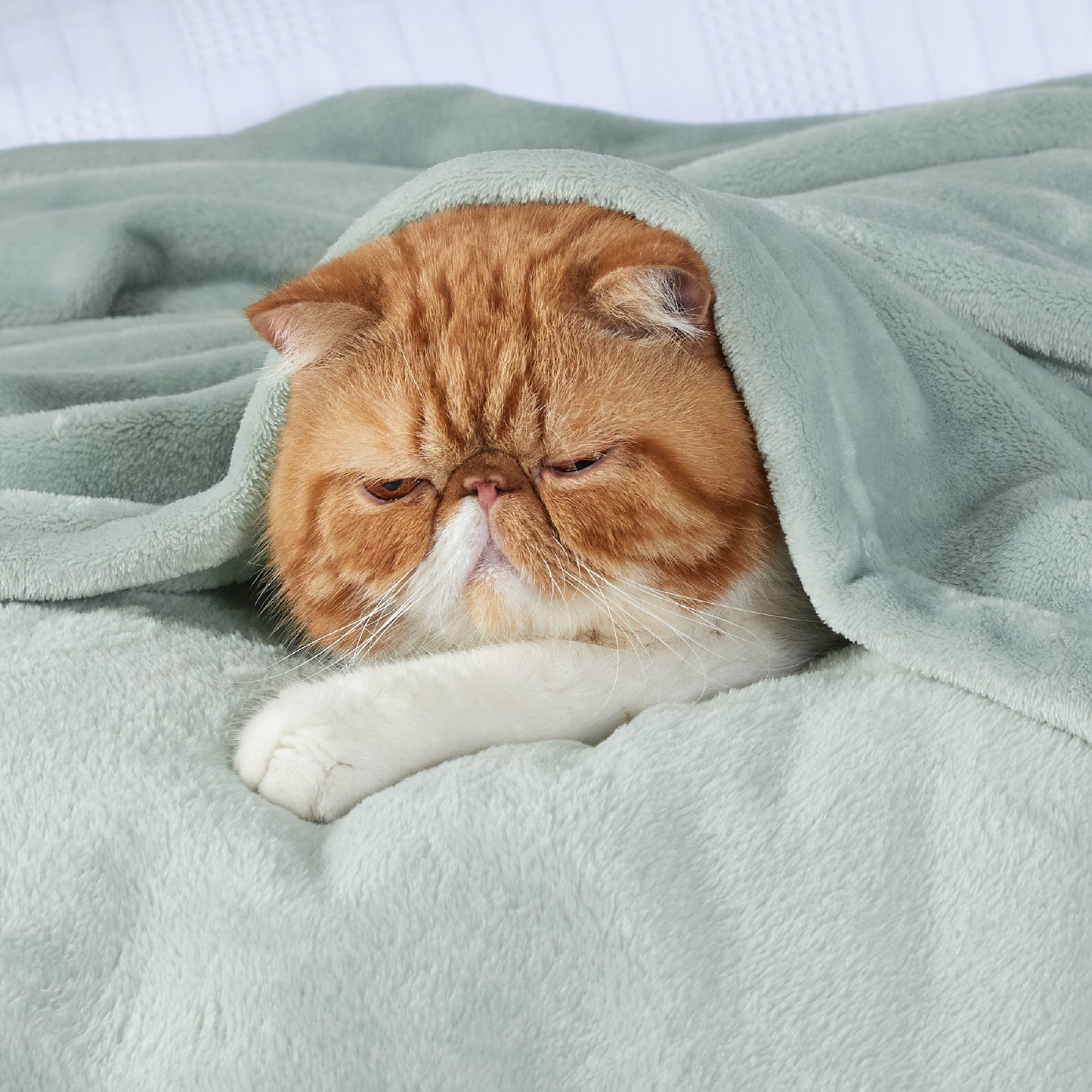 Classic Flannel Fleece Blanket