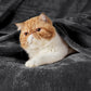 Classic Flannel Fleece Blanket