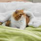 Sherpa Fleece Blanket