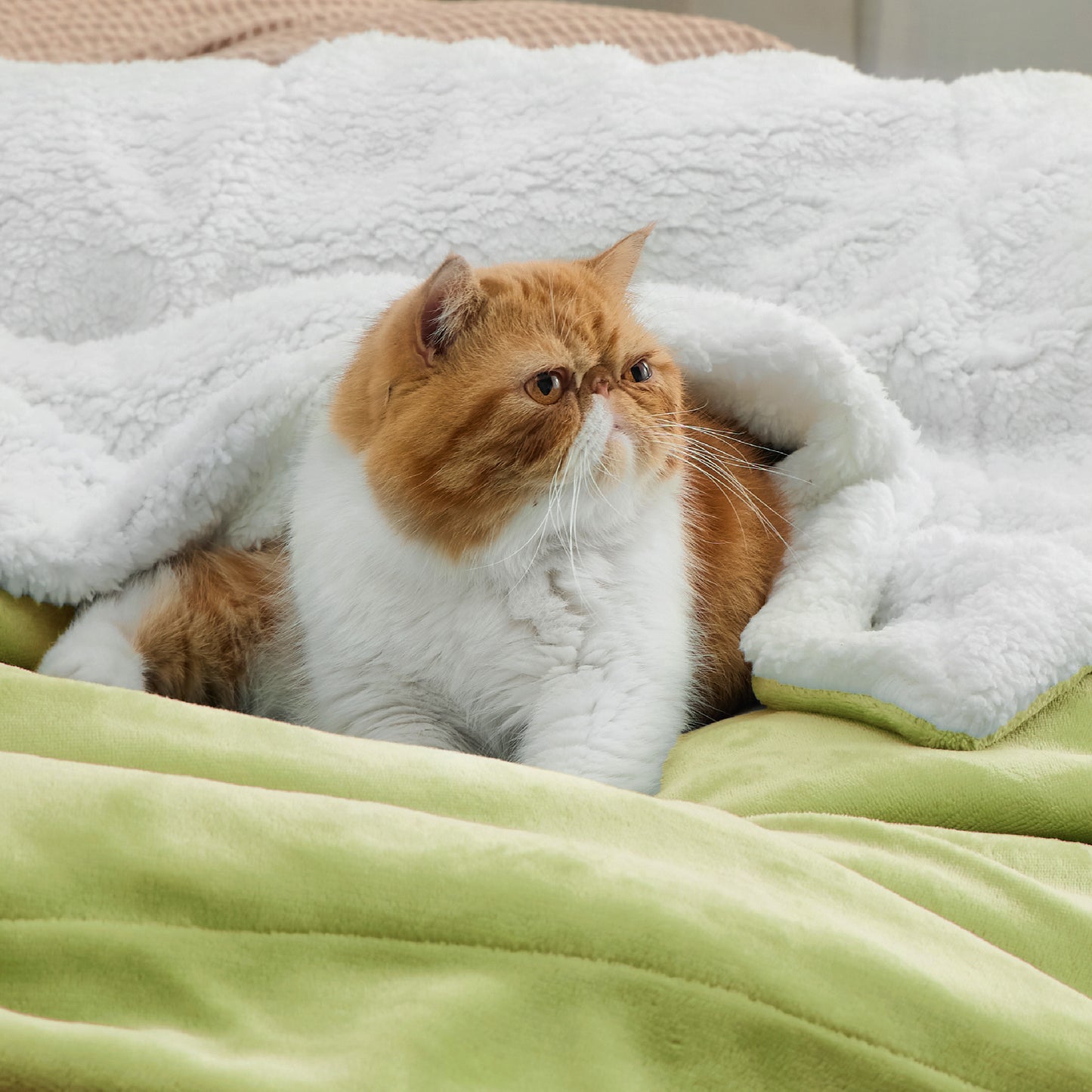 Sherpa Fleece Blanket