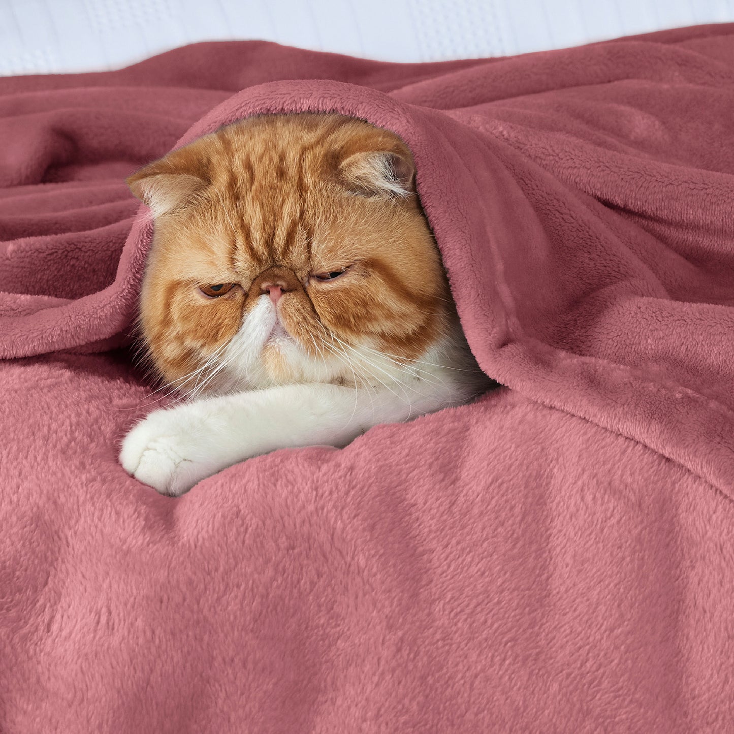 Classic Flannel Fleece Blanket