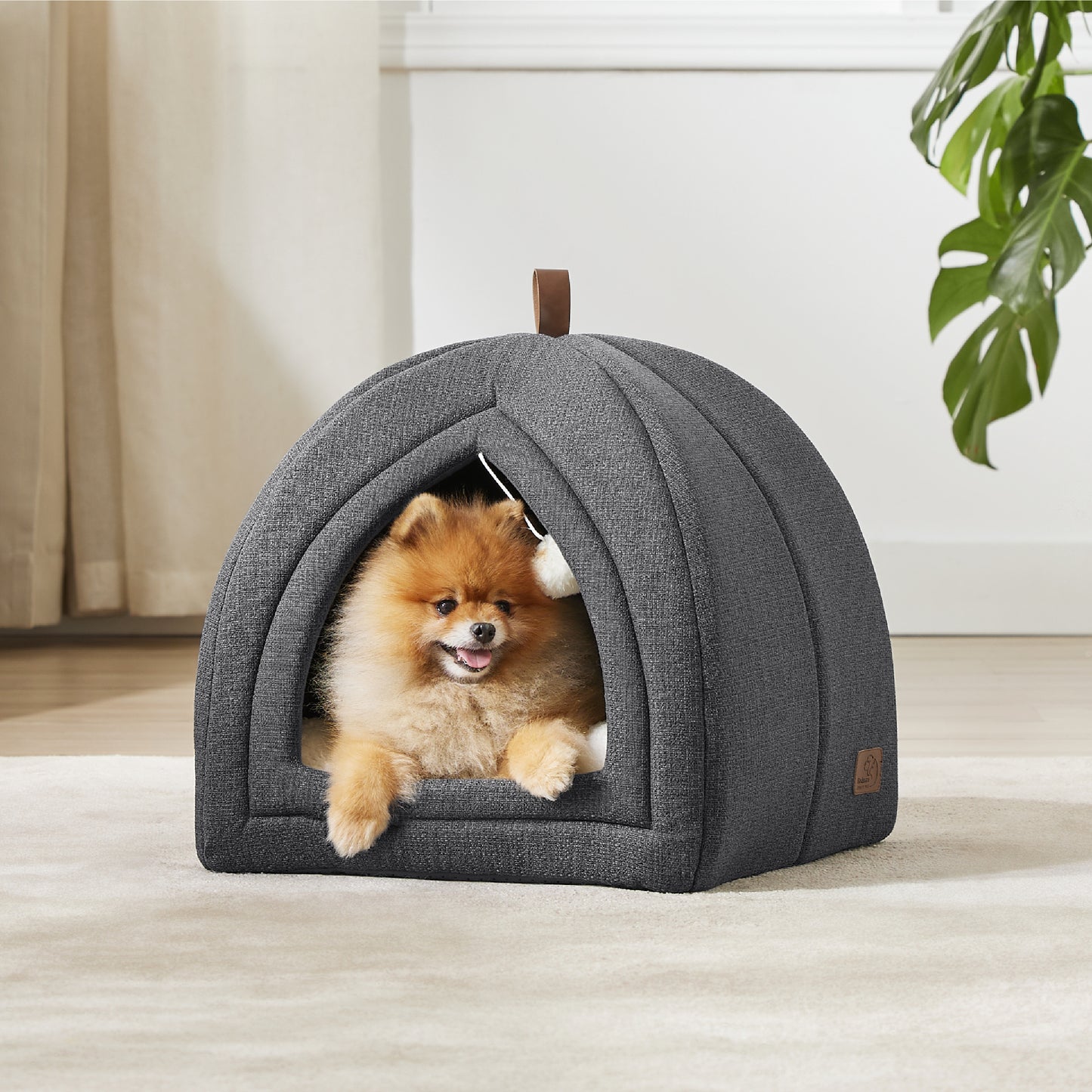 Cat Tent