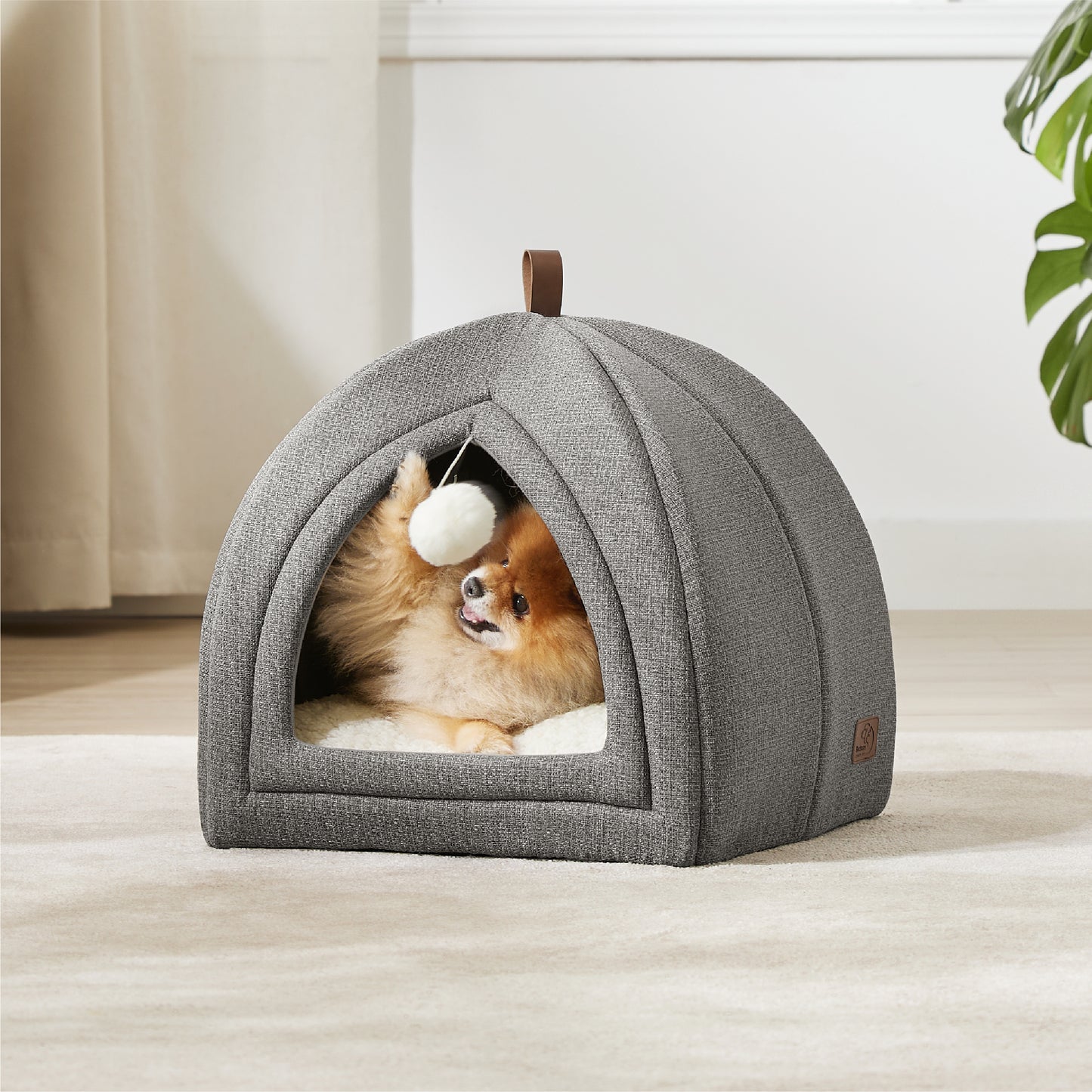 Cat Tent