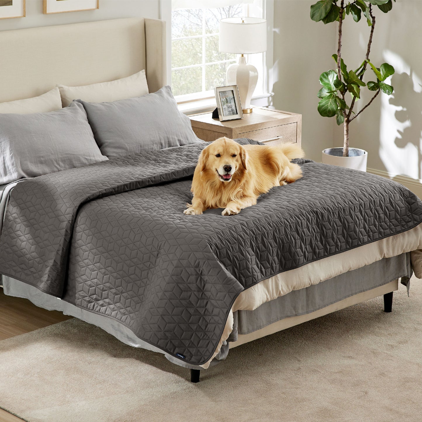 Pet Sofa Protector