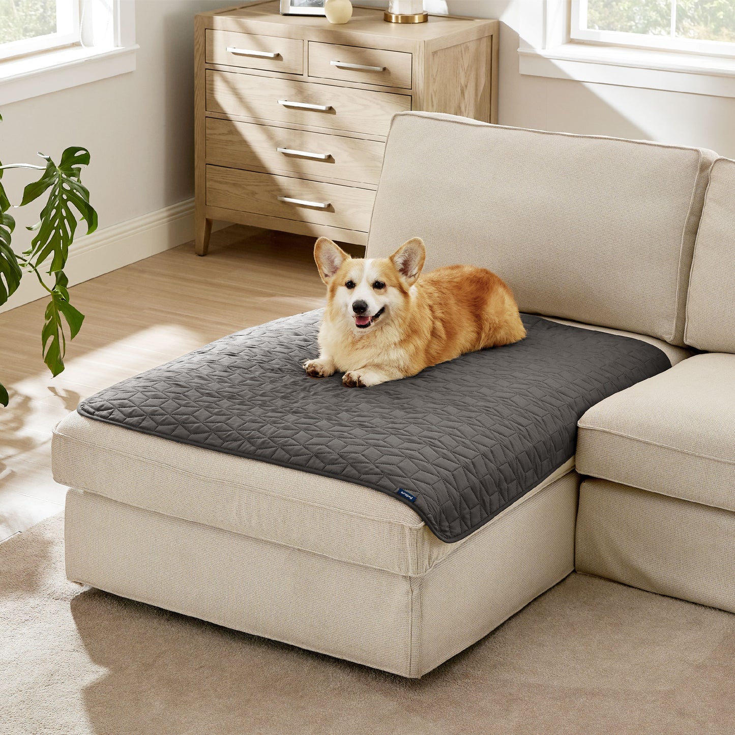 Pet Sofa Protector