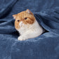 Classic Flannel Fleece Blanket