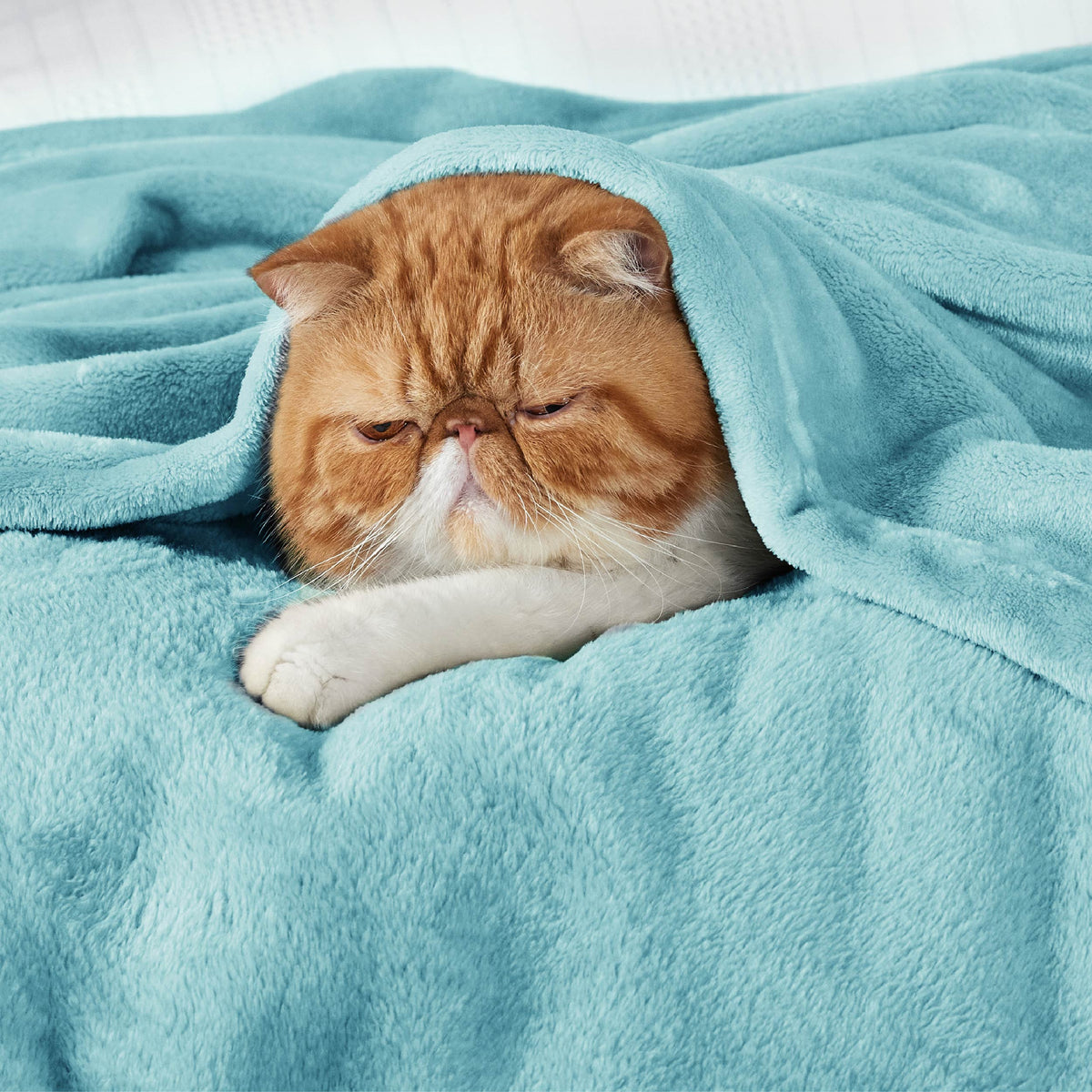 Flannel Fleece Blanket 300gsm