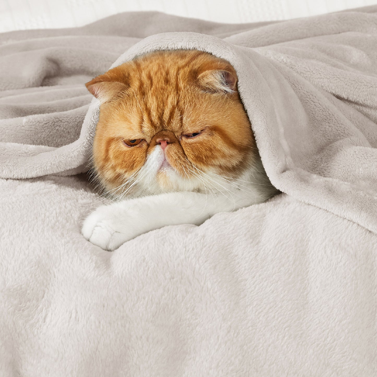 Classic Flannel Fleece Blanket