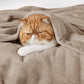 Classic Flannel Fleece Blanket