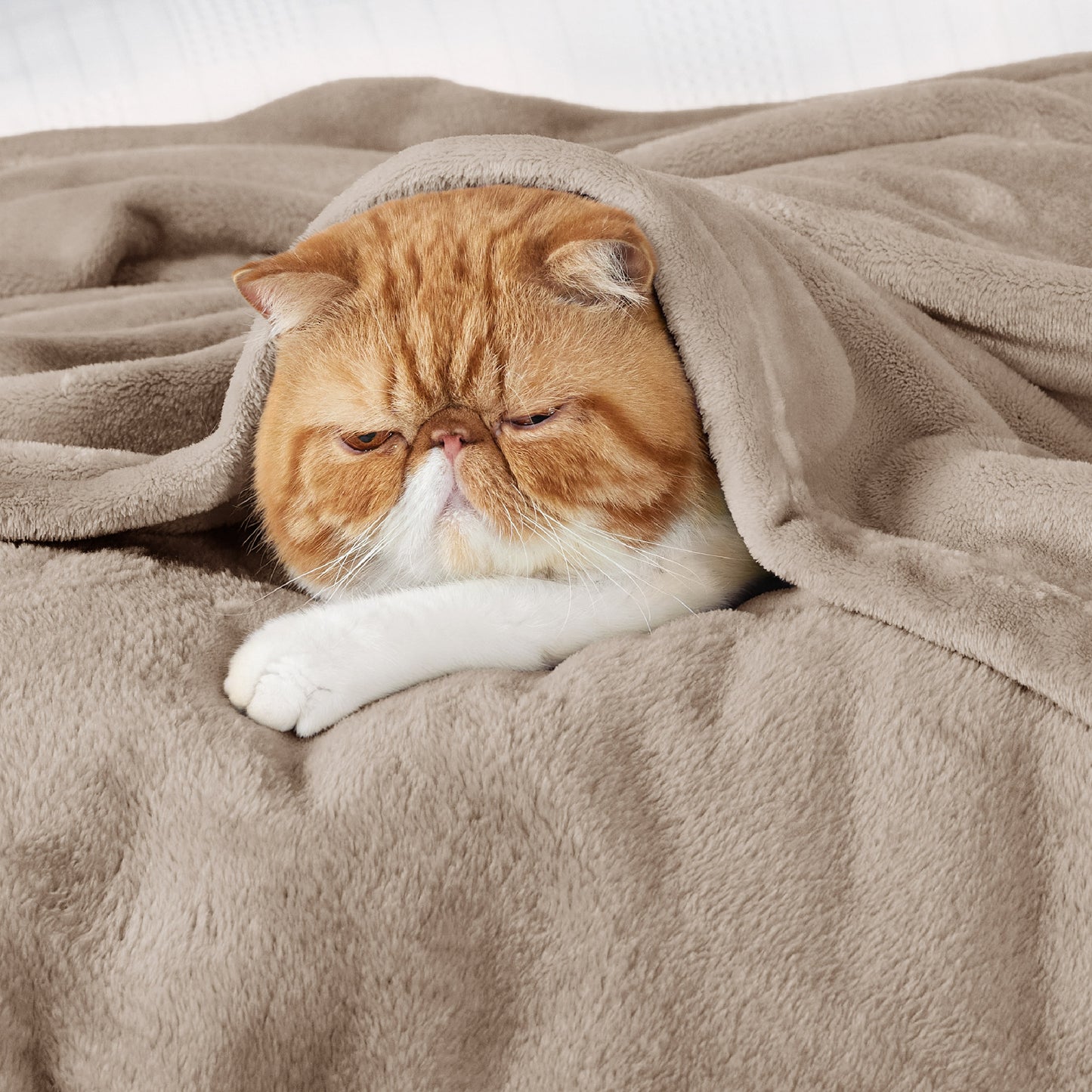 Classic Flannel Fleece Blanket